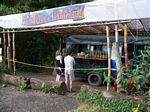Twin Falls Stand (Hana Hwy, 2 m/m)
